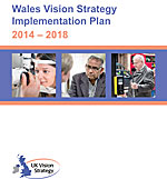 Wales Vision strategy booklet